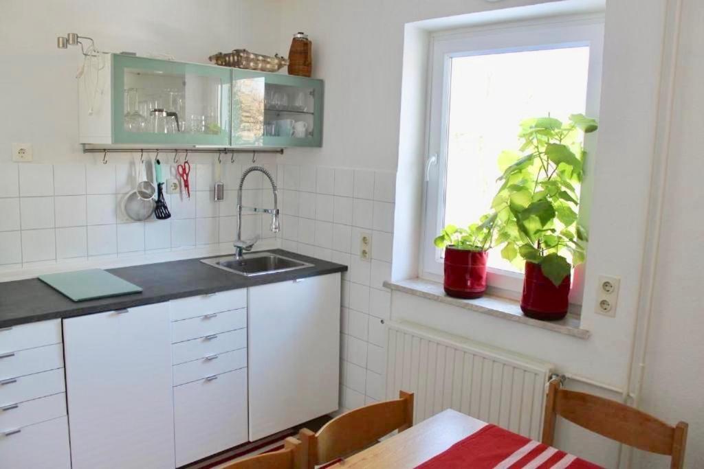 Appartamento Zollhaus 26 Hohegeiß Esterno foto