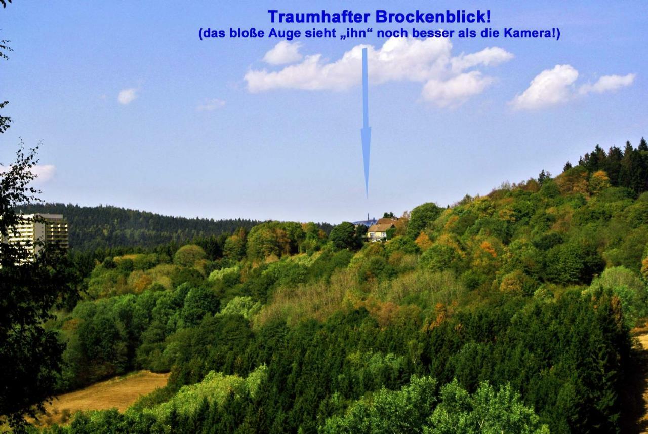 Appartamento Zollhaus 26 Hohegeiß Esterno foto