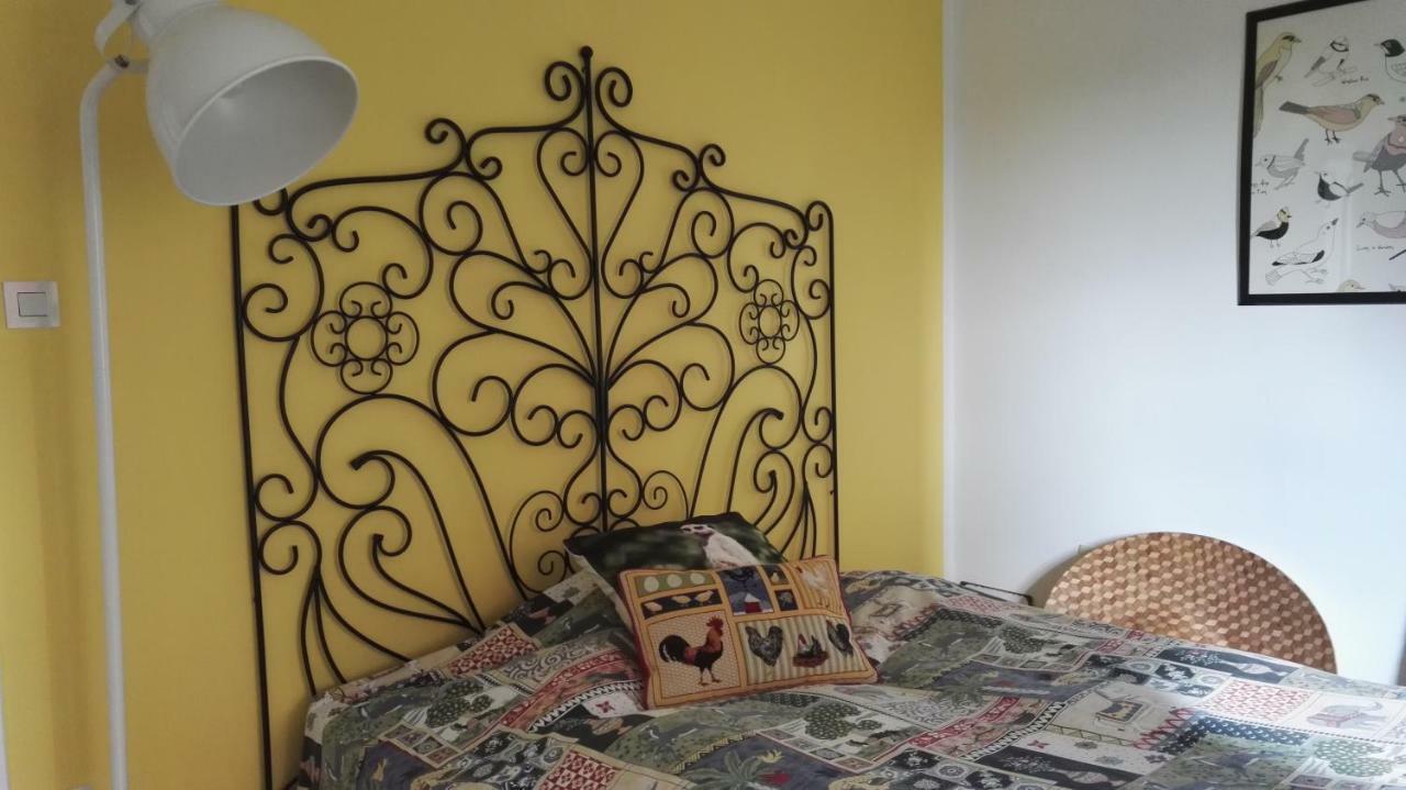 Appartamento Zollhaus 26 Hohegeiß Esterno foto